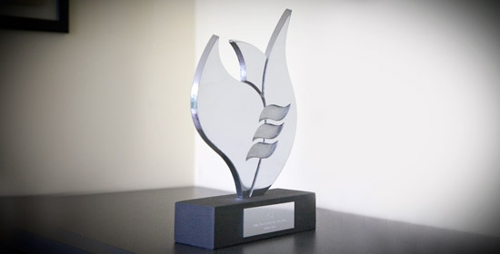 estatuilla_premio