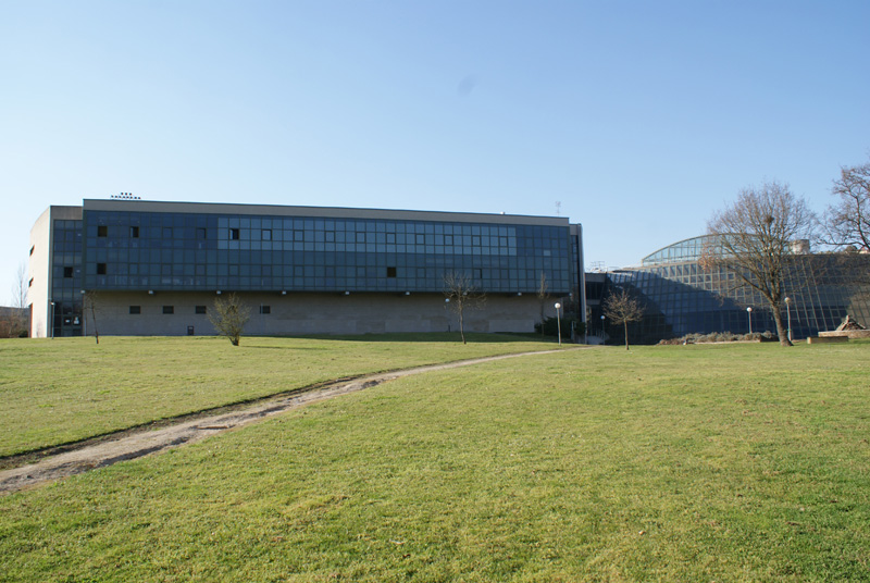 fundacion_CEL